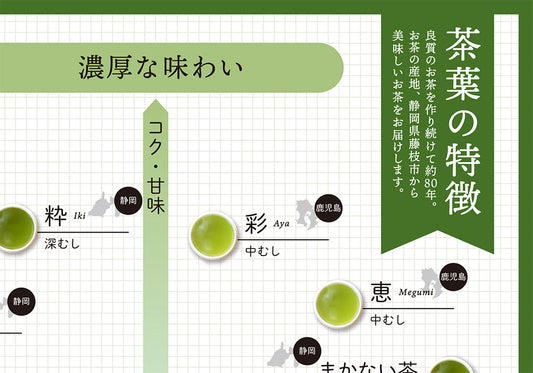 緑茶・茶葉の選び方｜味や香りの違いから、自分に合う一杯を見つける方法