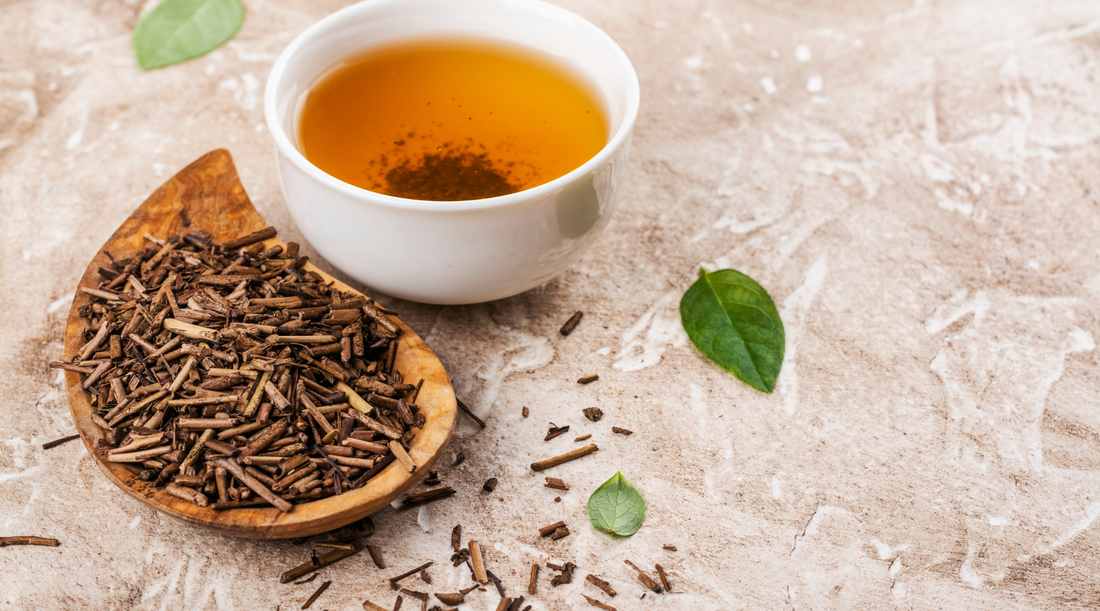 香りで癒やされる。「ほうじ茶」のリラックス効果と低カフェインの魅力